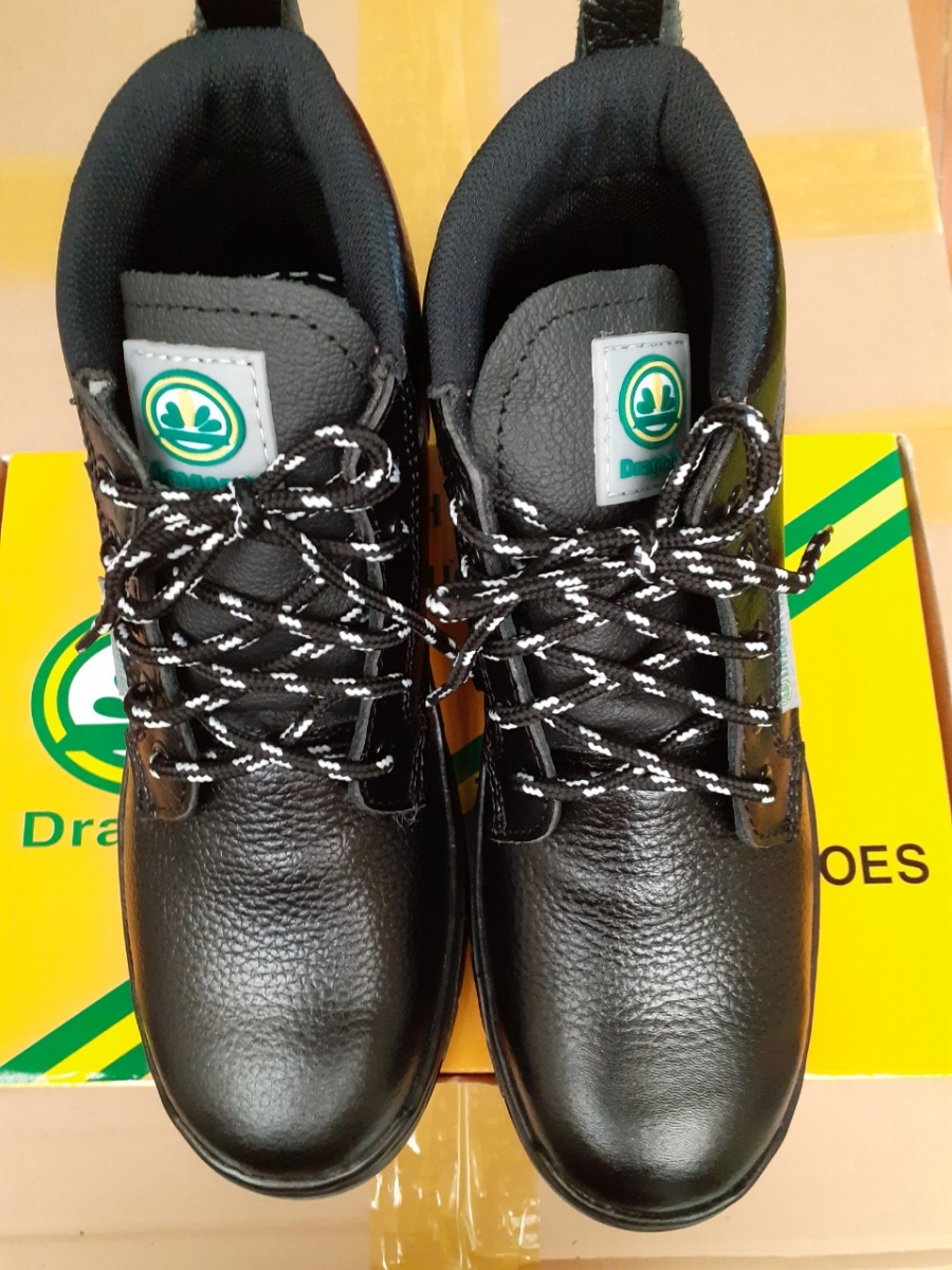 dragon203b20cao20ce1bb952014