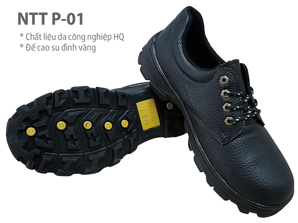 p0120ntt2-1